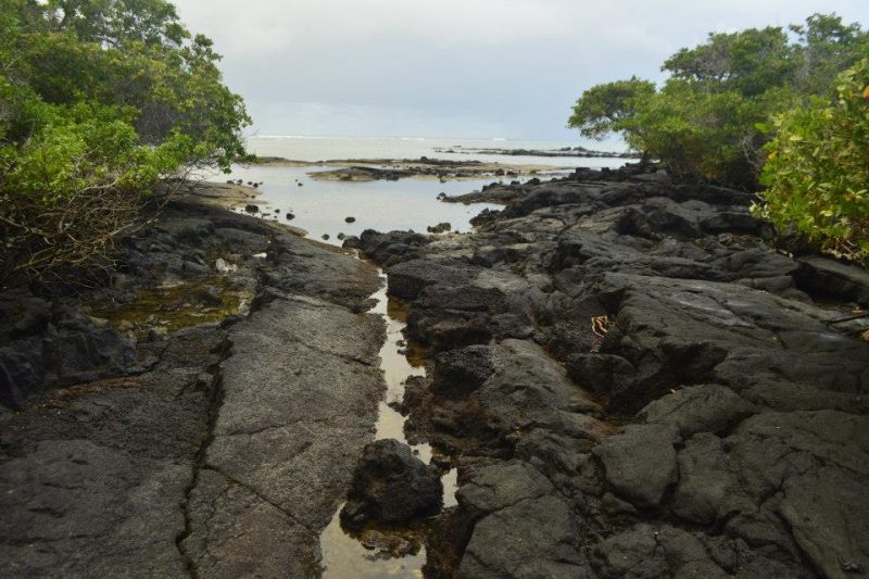 Playa del amor Galapagos Isabela