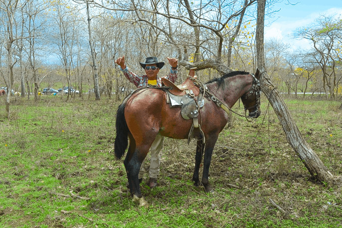 Rent a horse to explore the natural Guayacanes Forest