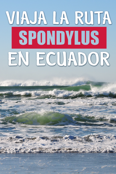 Guía completa para viajar por la ruta del Spondylus en Ecuador