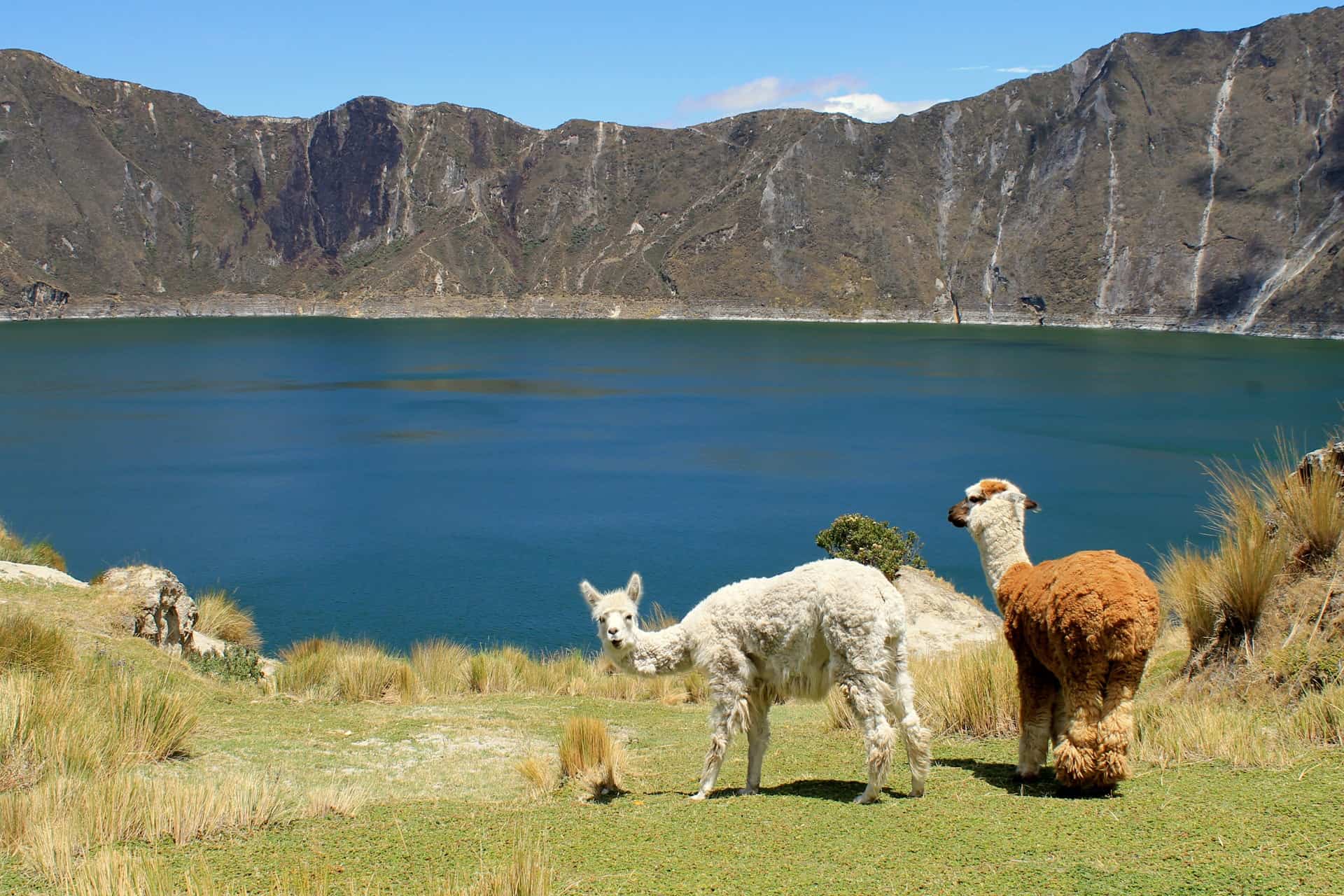 Laguna de Quilotoa en el Norte del Ecuador