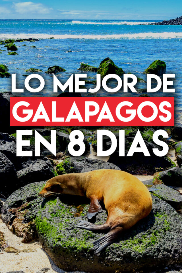 Lo mejor de Galápagos para visitar en 8 días
